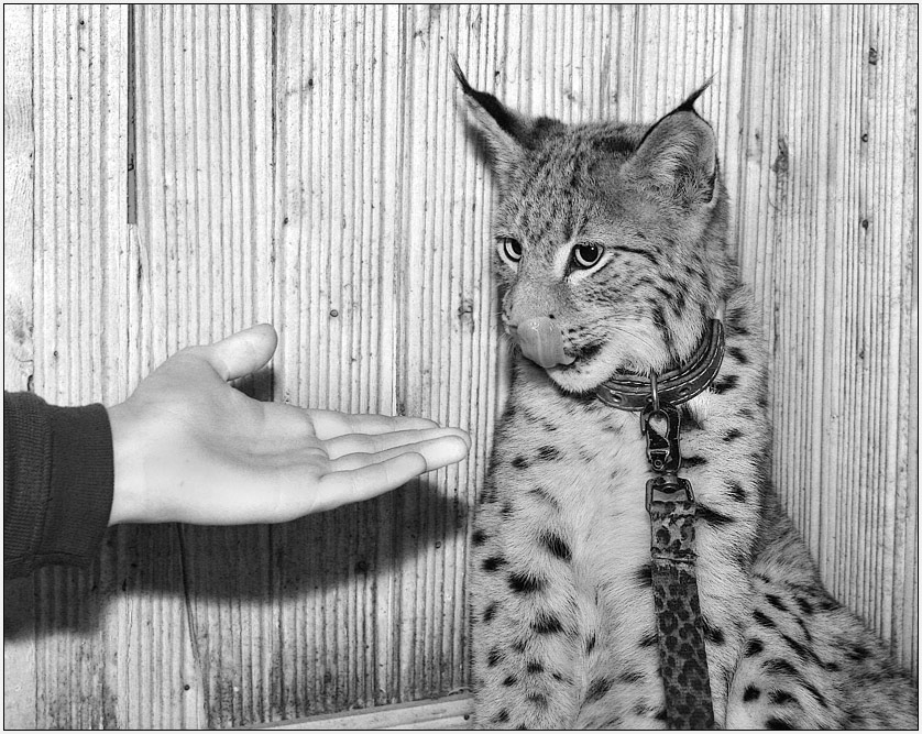  --! 