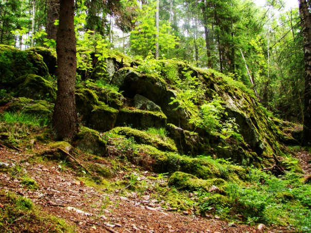  Finland