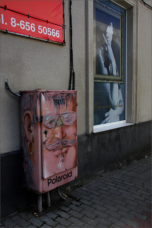  Palaroid   