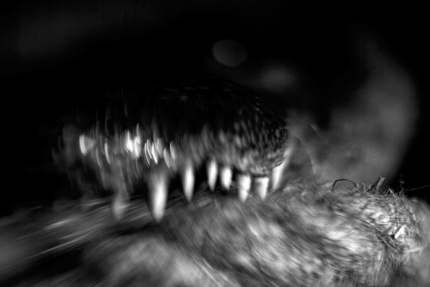     !