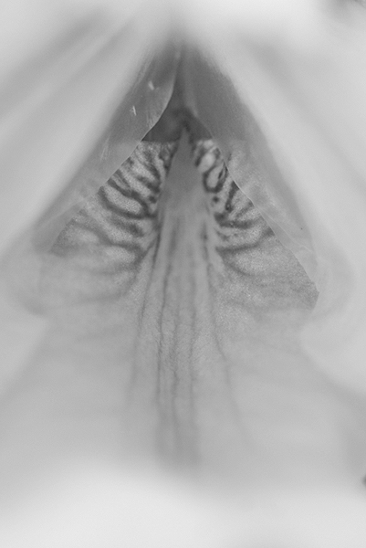   !