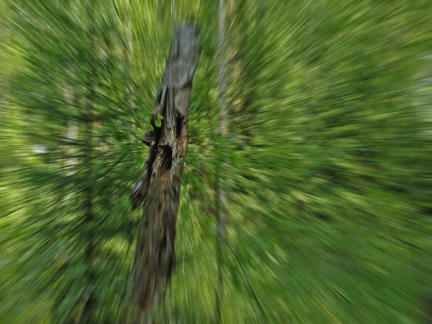  []