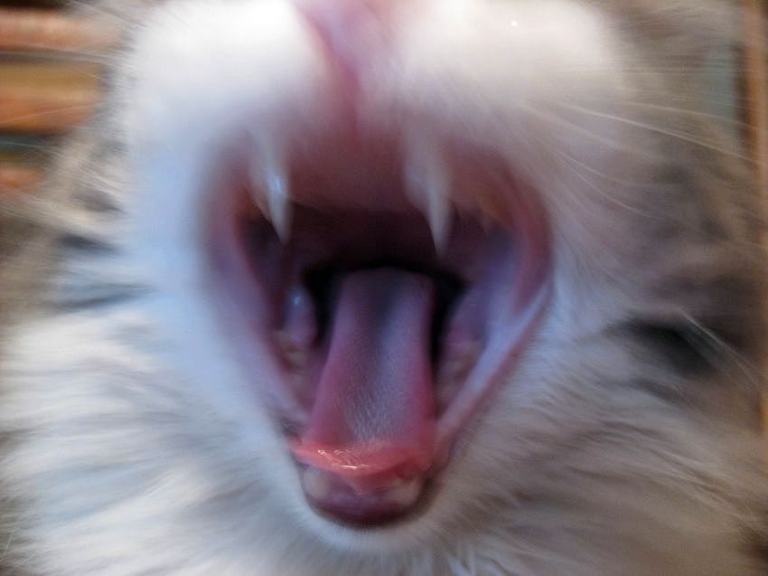    , .