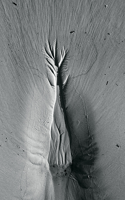     (3-)