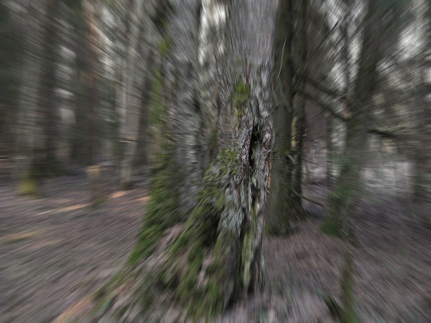   , -