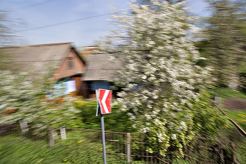    ii