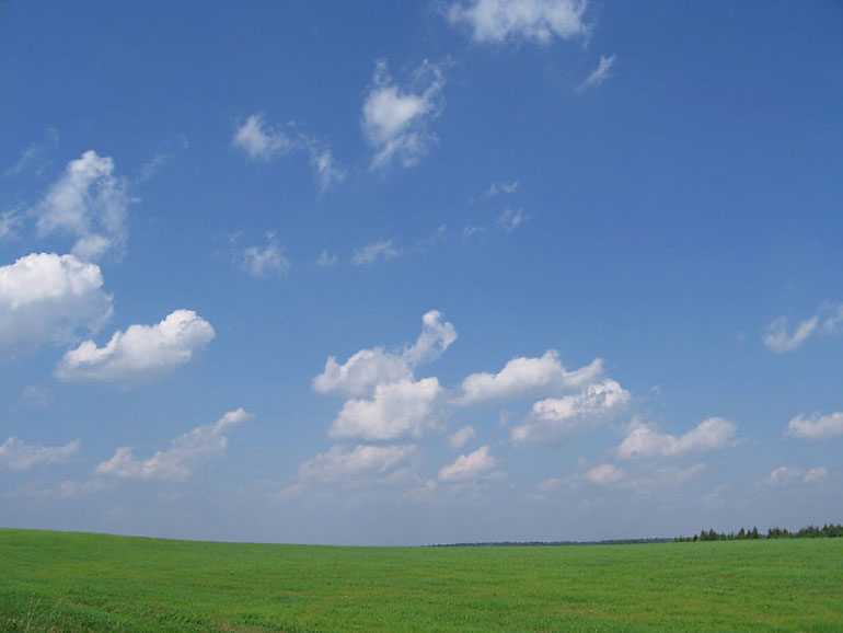 Windows XP 