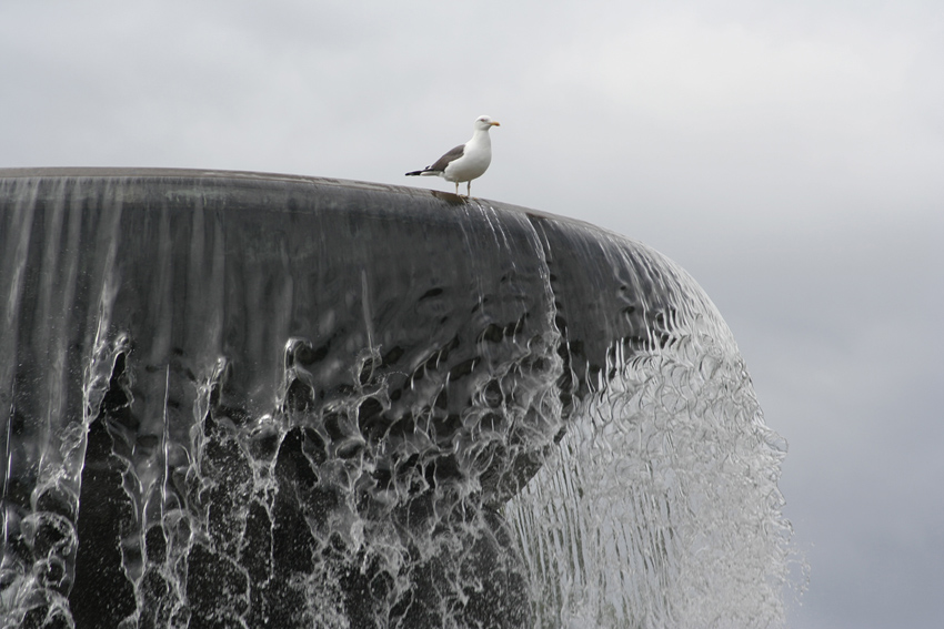  VIGELAND 