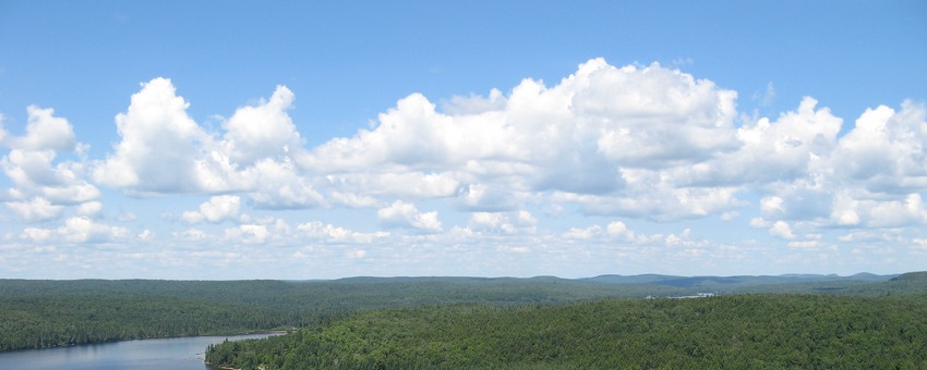  DSW#7
