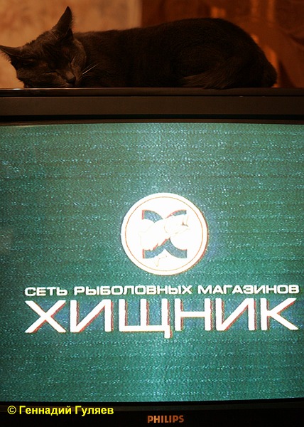     ( )