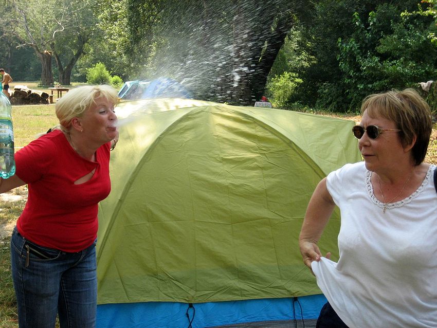   2006...
