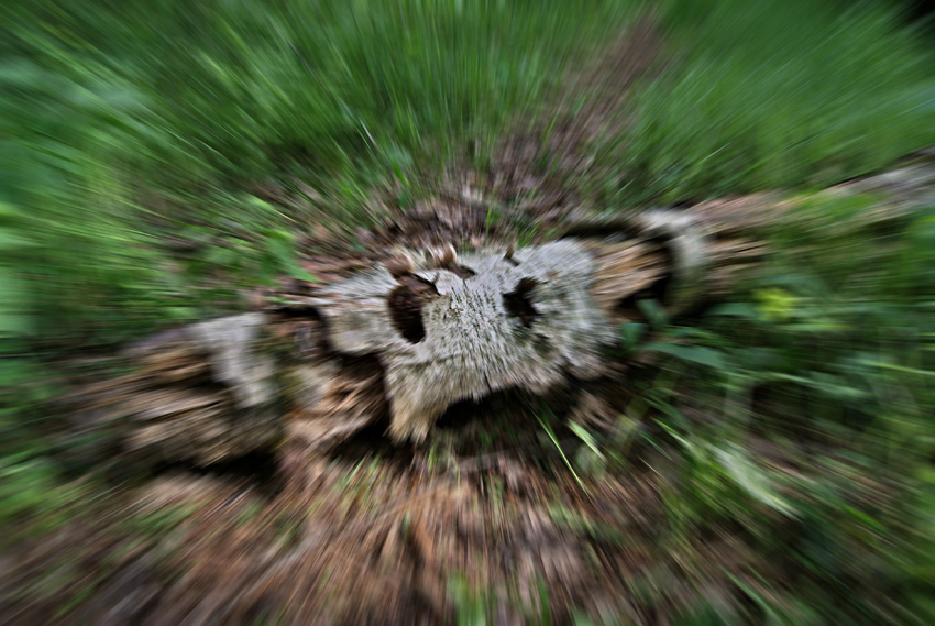   , 