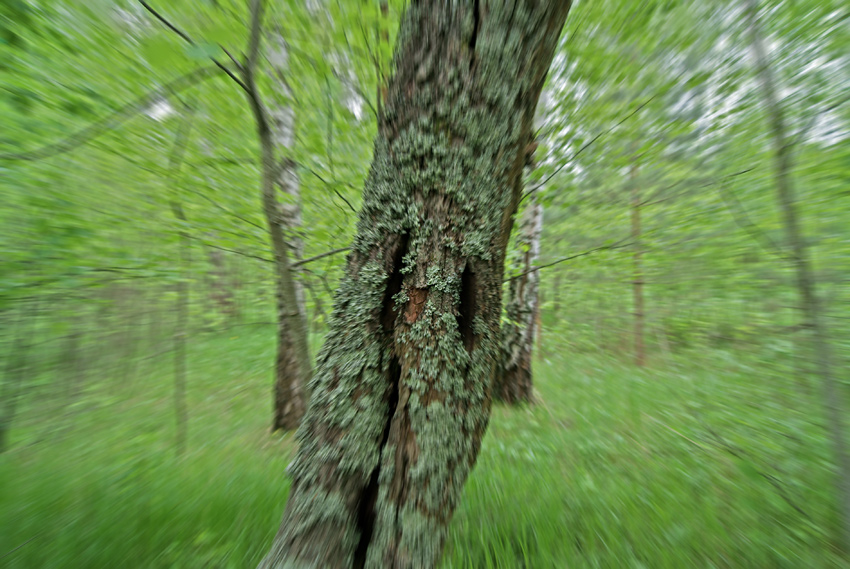   , 