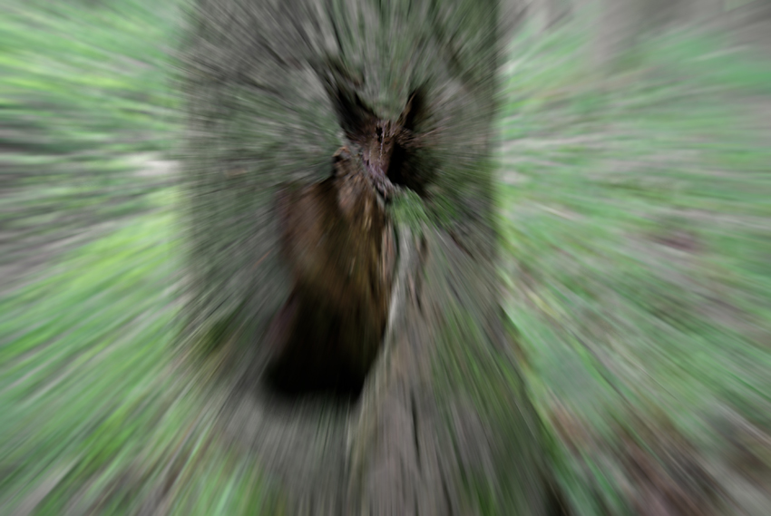   , 