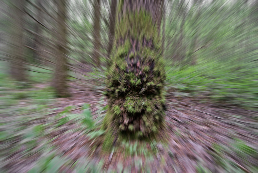   , 