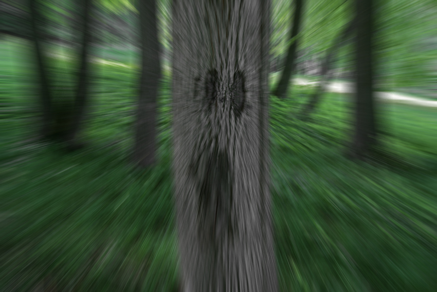   , 