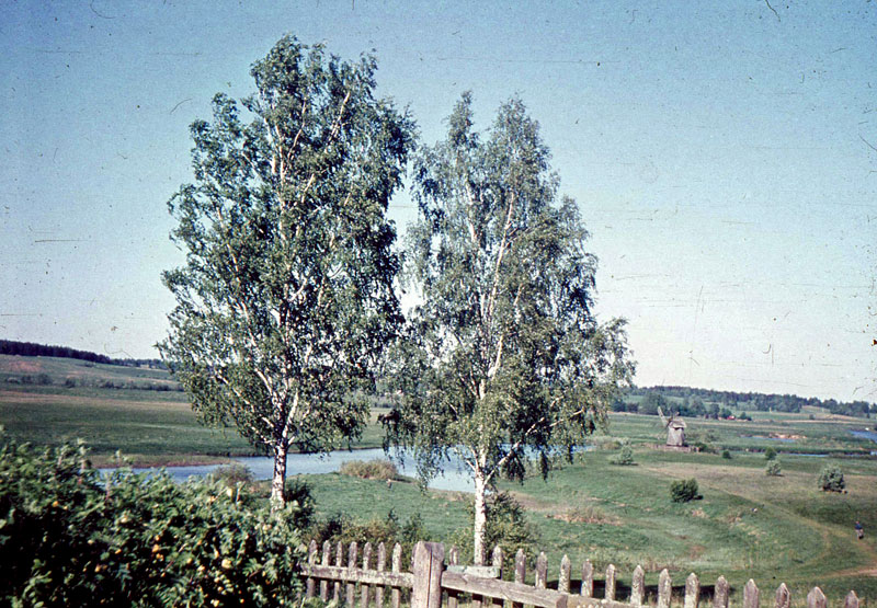   1990