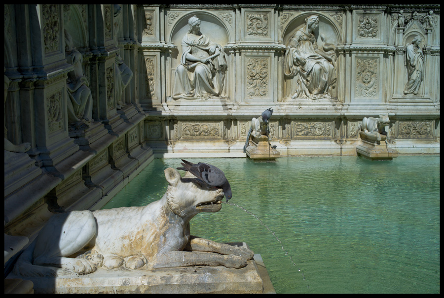  Siena