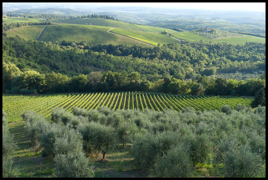  Chianti