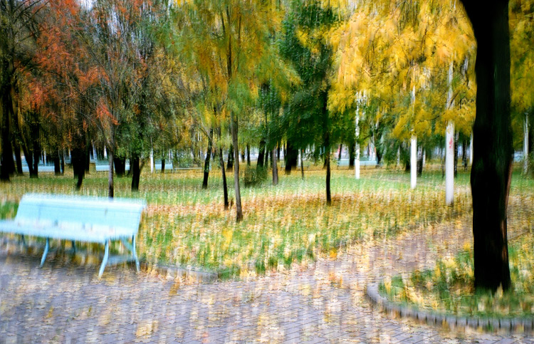    3D