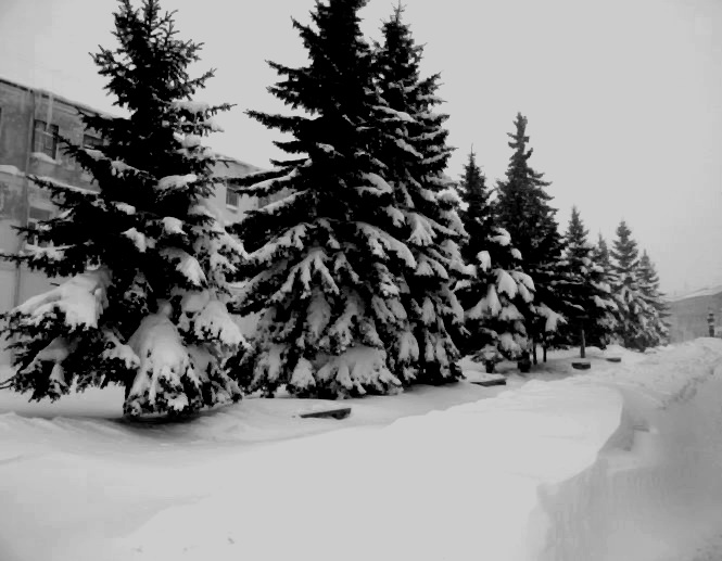   2010.