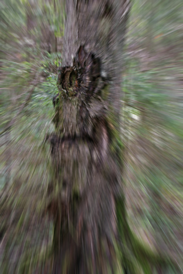   , 