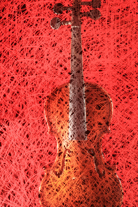  Violin 