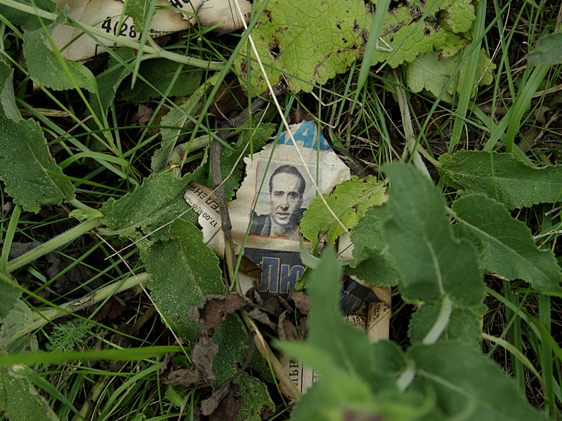  nicolasinthegrass