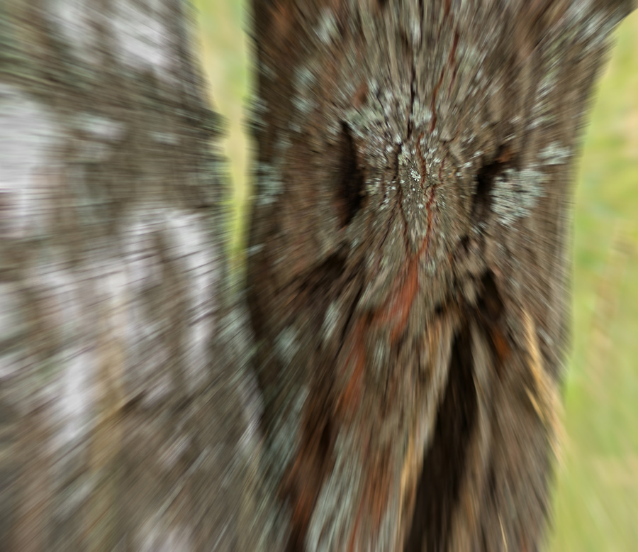  , 