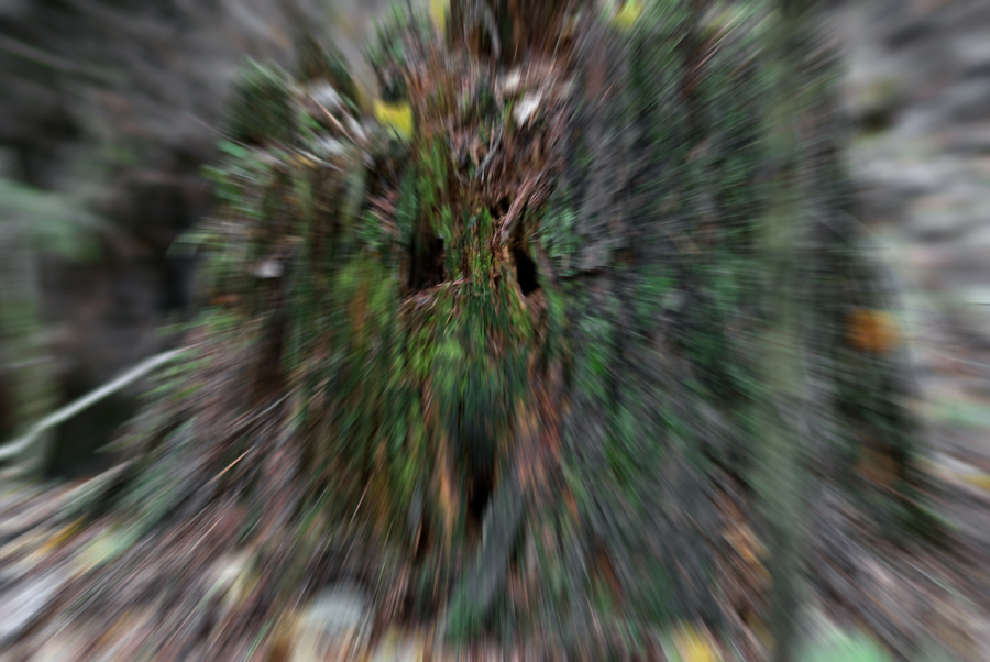   , 