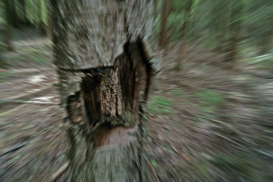   , 