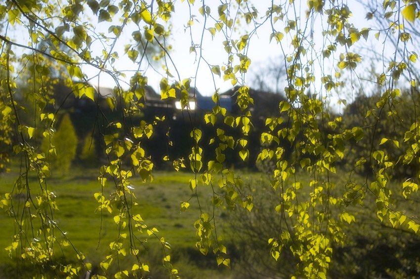  ң