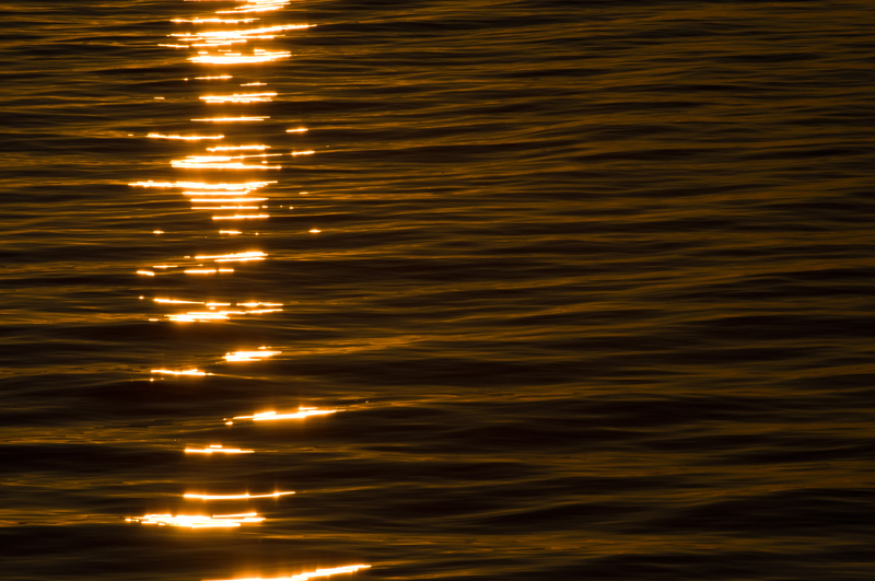  Golden water