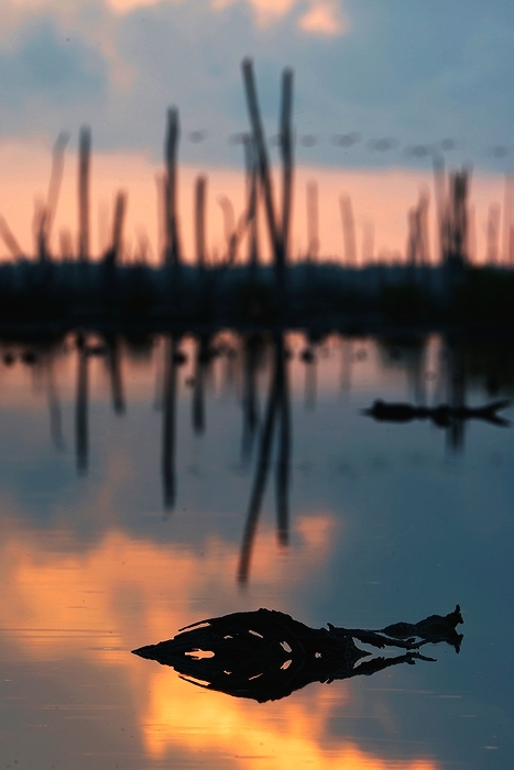  Rio Maximo