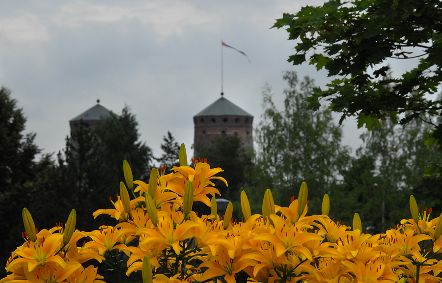     :) (Savonlinna) (5)