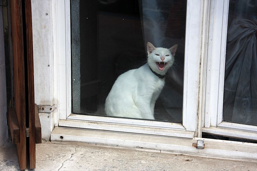  !    !
