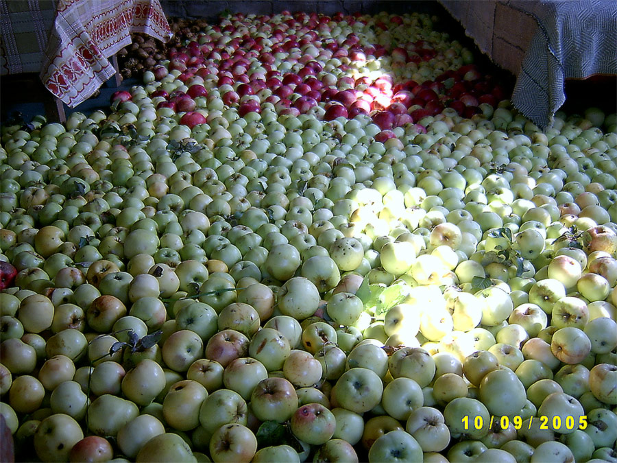  -2005