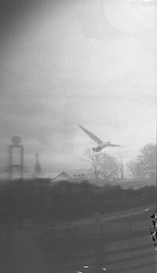   film