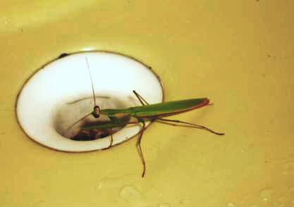  Anybody home?