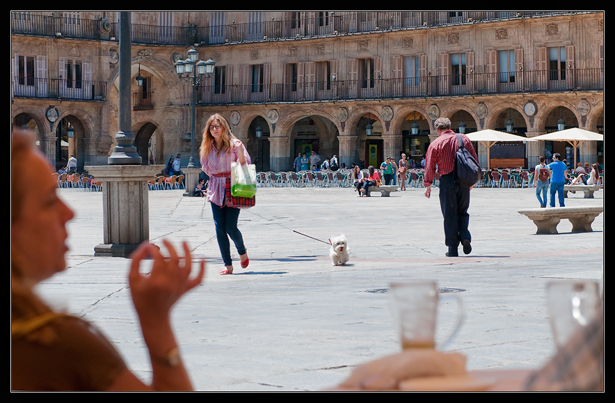  Salamanca