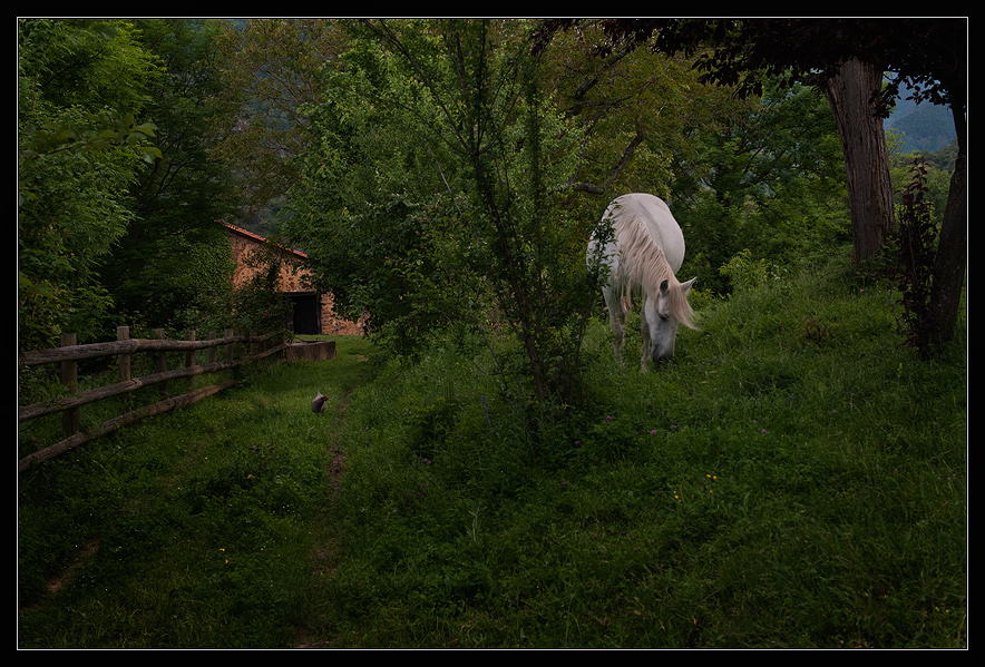  Cantabria