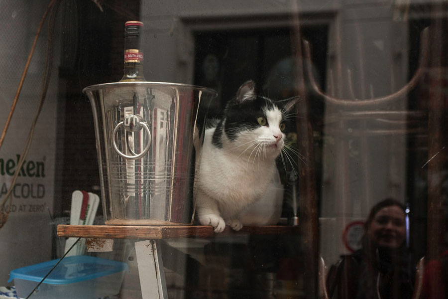  Barkeeper.  