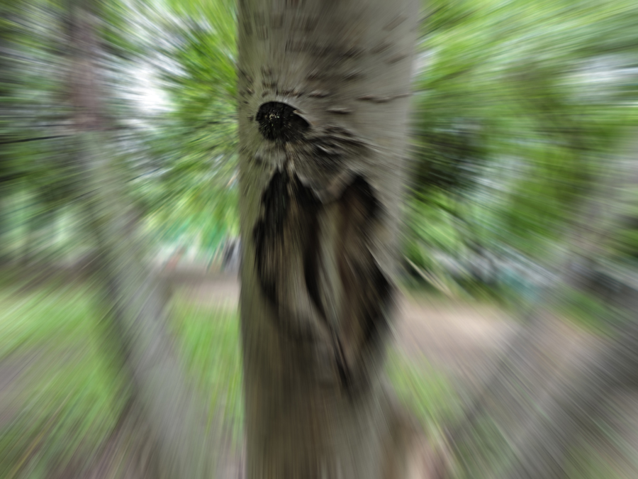   , 
