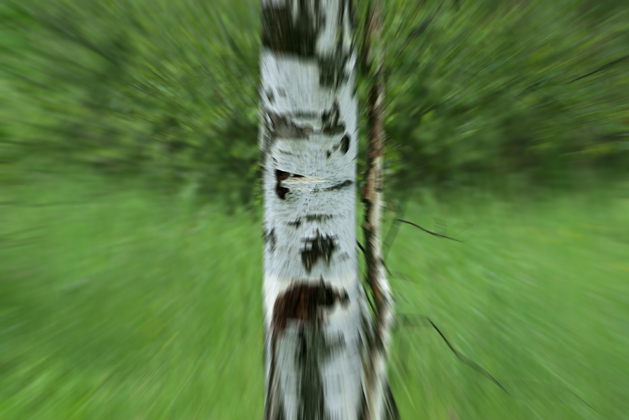   , 