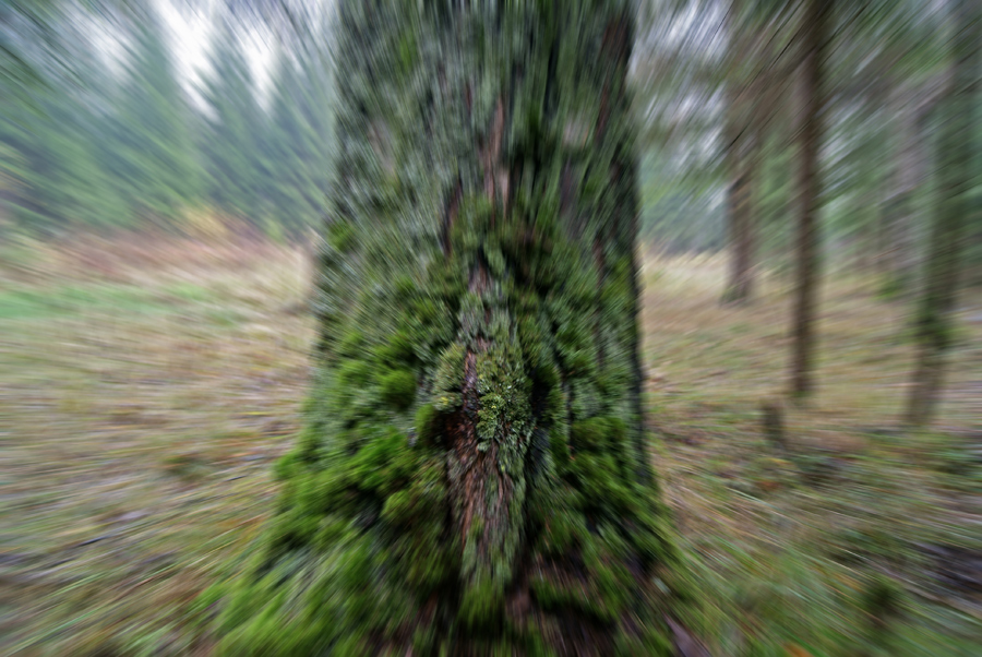   , 