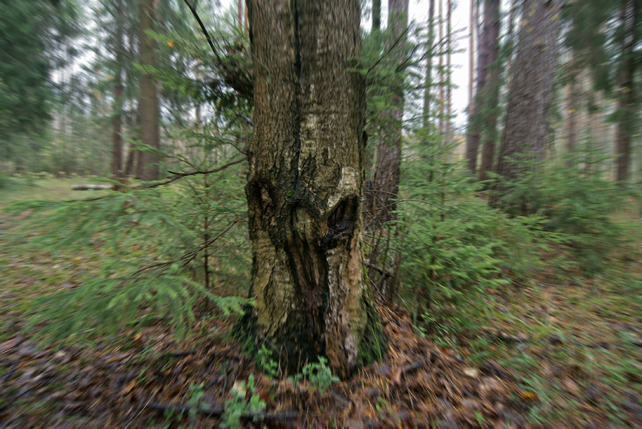   , 