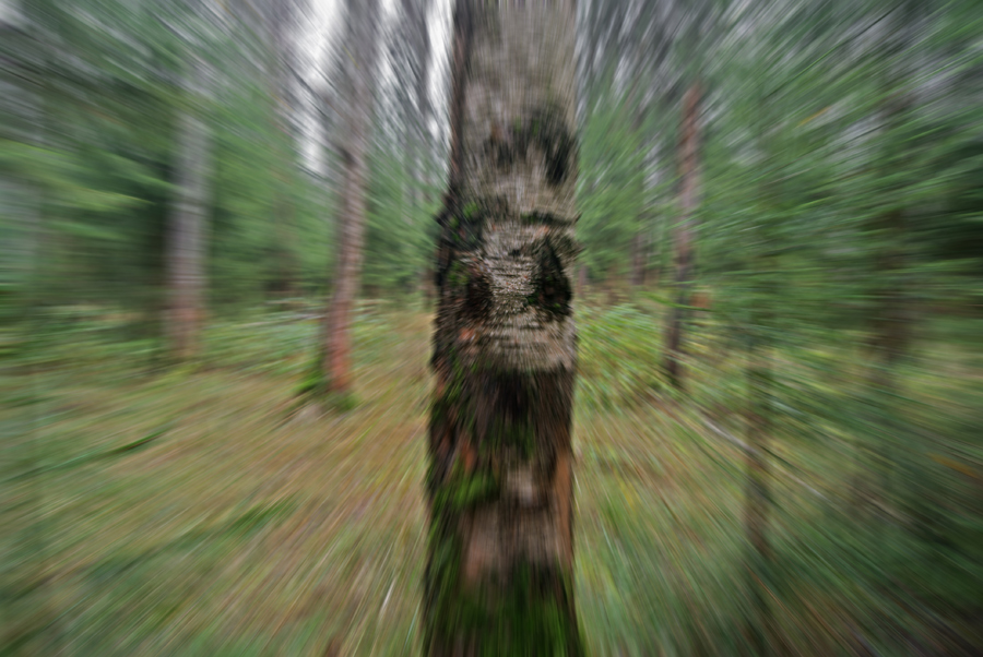   , 