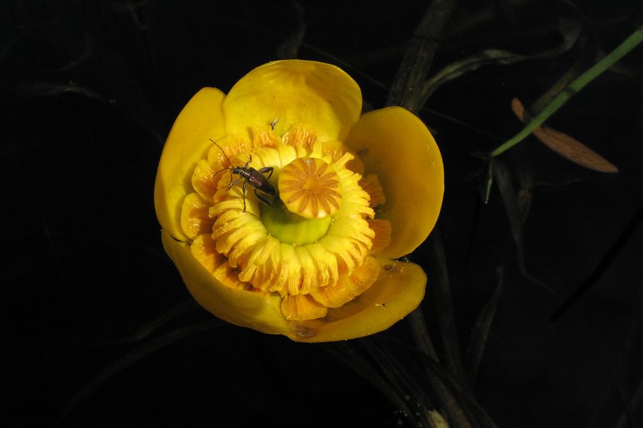  1-  