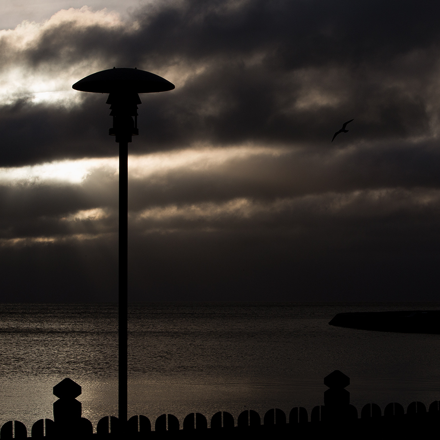  [evening flight]