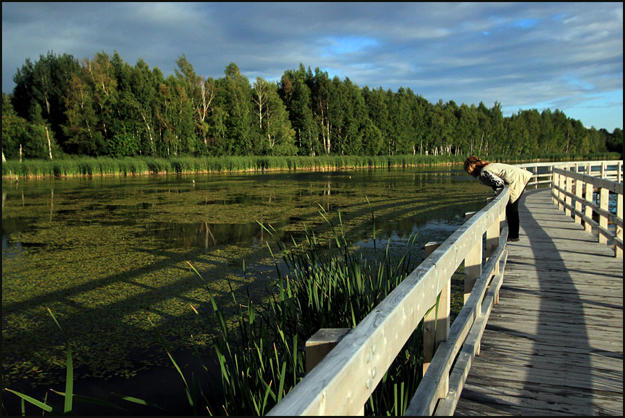  New Brunswick 5